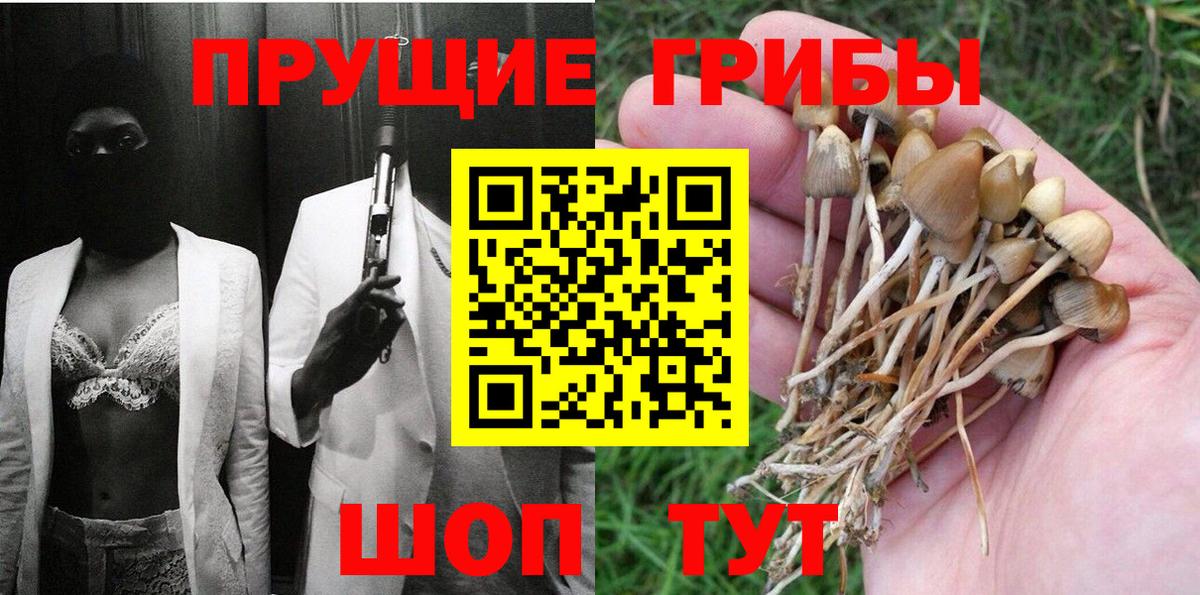 Псилоцибиновые грибы прущие грибы  Вход с VPN  Псилоцибиновые грибы GOLDEN TEACHER  как найти закладки  Тобольск 