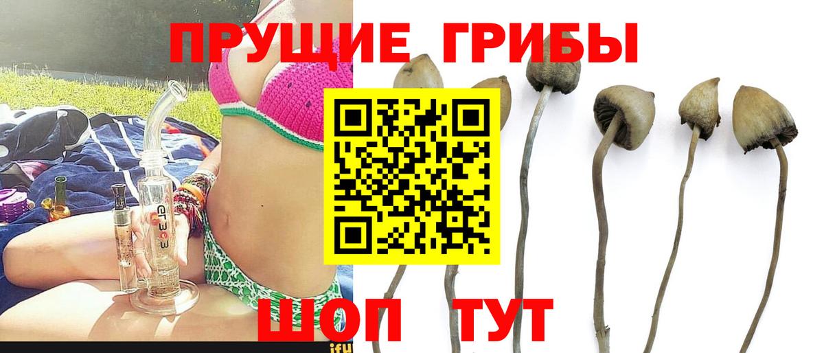 Галлюциногенные грибы мицелий Тобольск