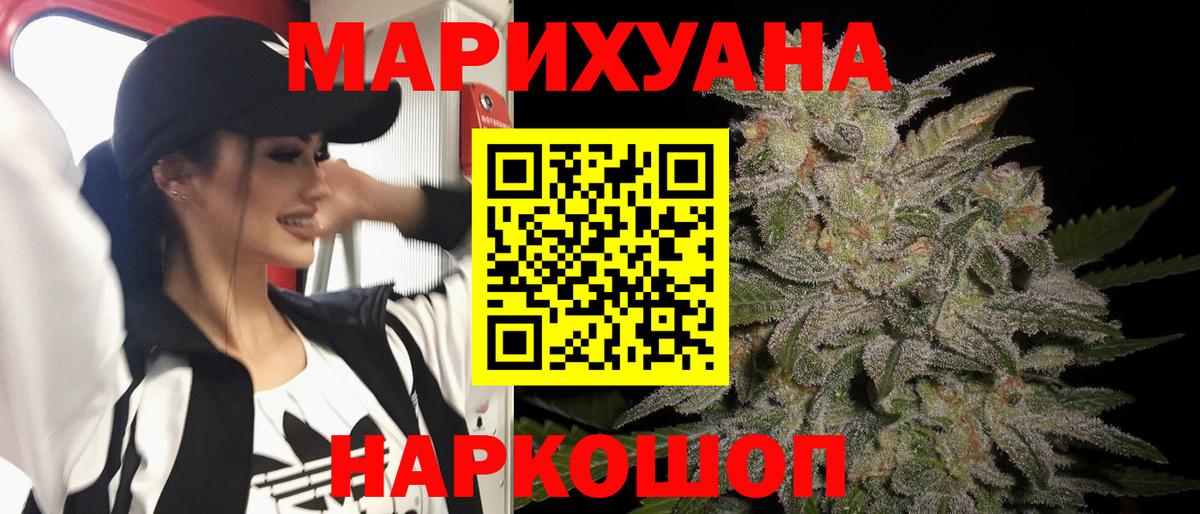 Конопля сатива Тобольск